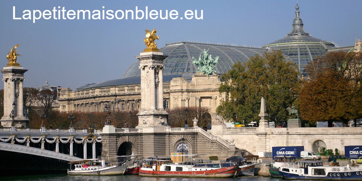 lapetitemaisonbleue.eu